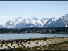 0471_Haines